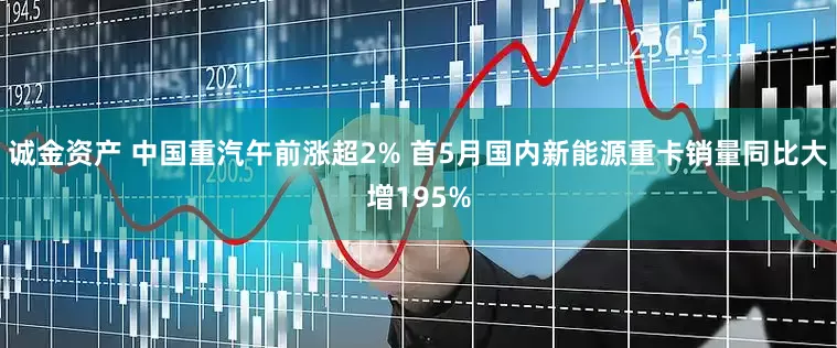 诚金资产 中国重汽午前涨超2% 首5月国内新能源重卡销量同比大增195%