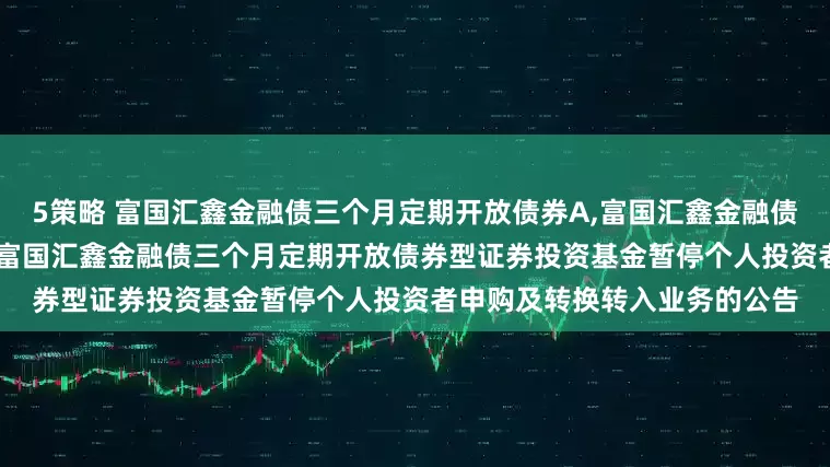 5策略 富国汇鑫金融债三个月定期开放债券A,富国汇鑫金融债三个月定期开放债券C: 关于富国汇鑫金融债三个月定期开放债券型证券投资基金暂停个人投资者申购及转换转入业务的公告