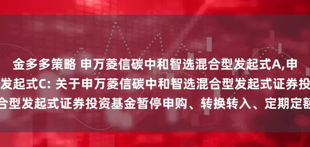 金多多策略 申万菱信碳中和智选混合型发起式A,申万菱信碳中和智选混合型发起式C: 关于申万菱信碳中和智选混合型发起式证券投资基金暂停申购、转换转入、定期定额投资的公告